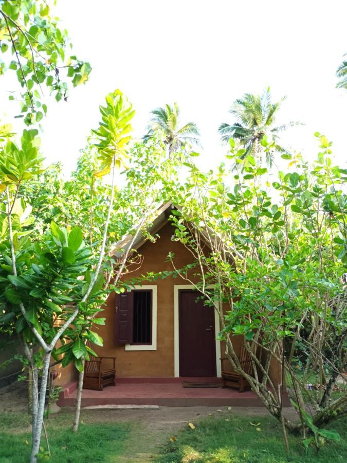 By The C' Cabanas Hikkaduwa Exterior photo